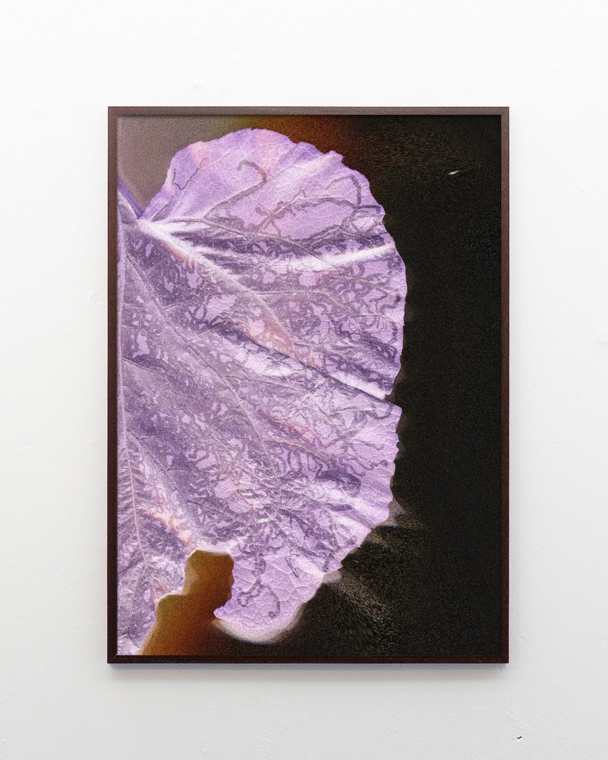 Leaf 02