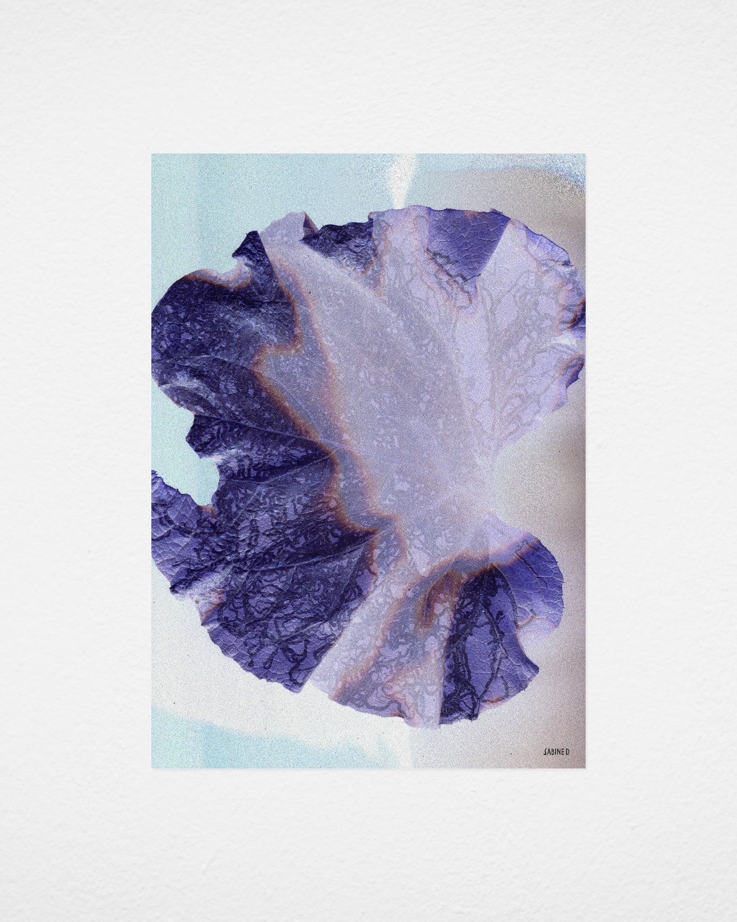 Leaf 01