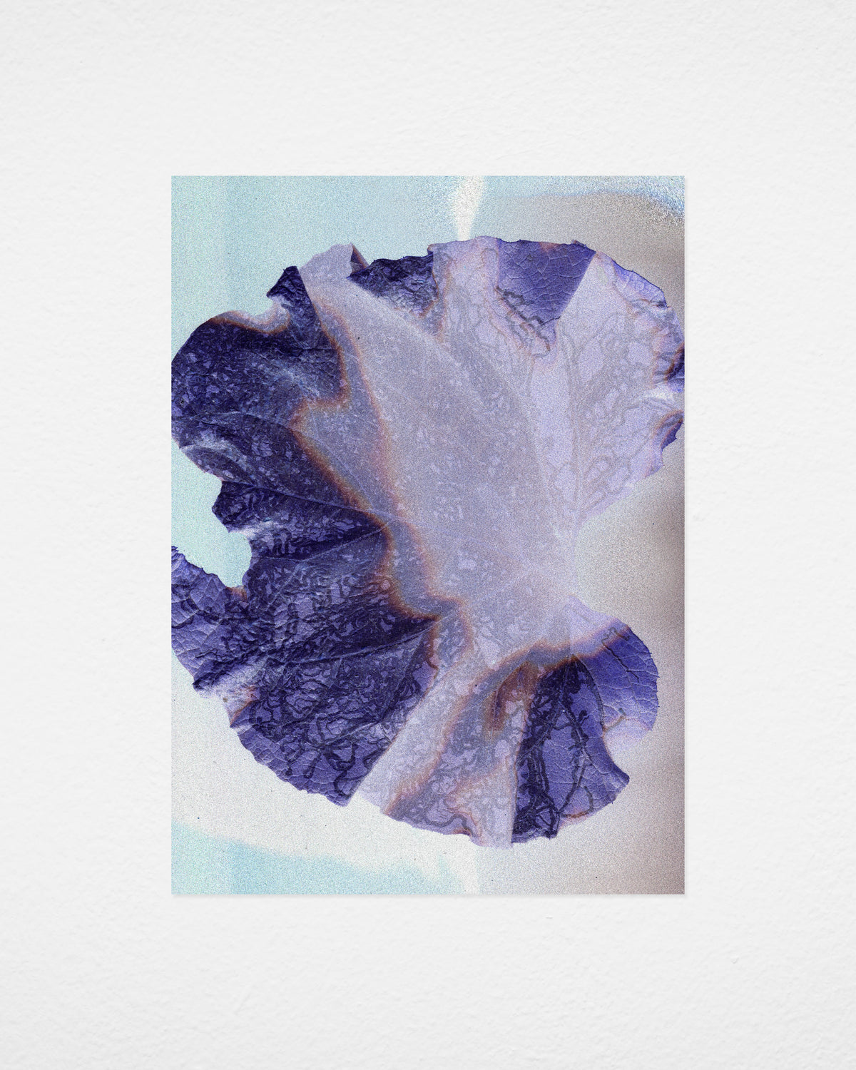 Leaf 01