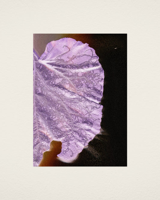 Leaf 02