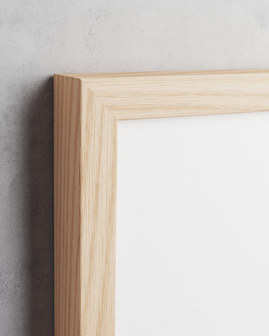 Frame preview
