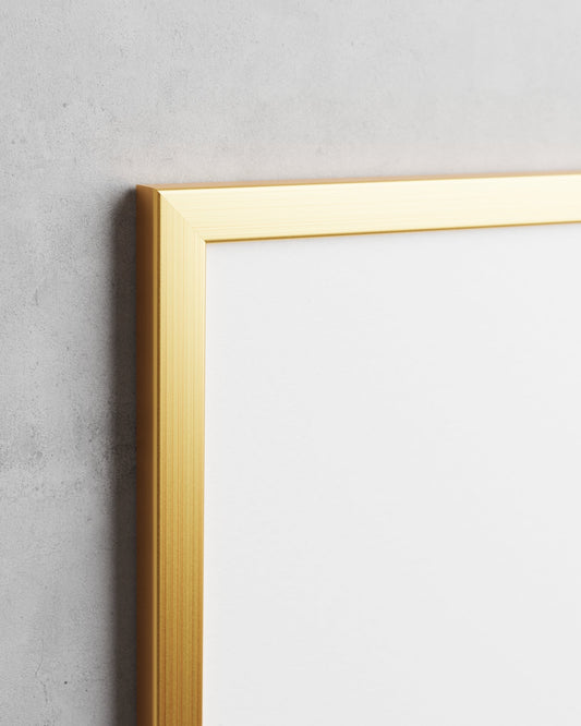 Frame preview