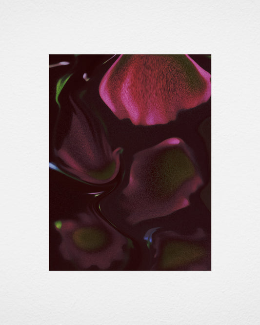 Coneflower