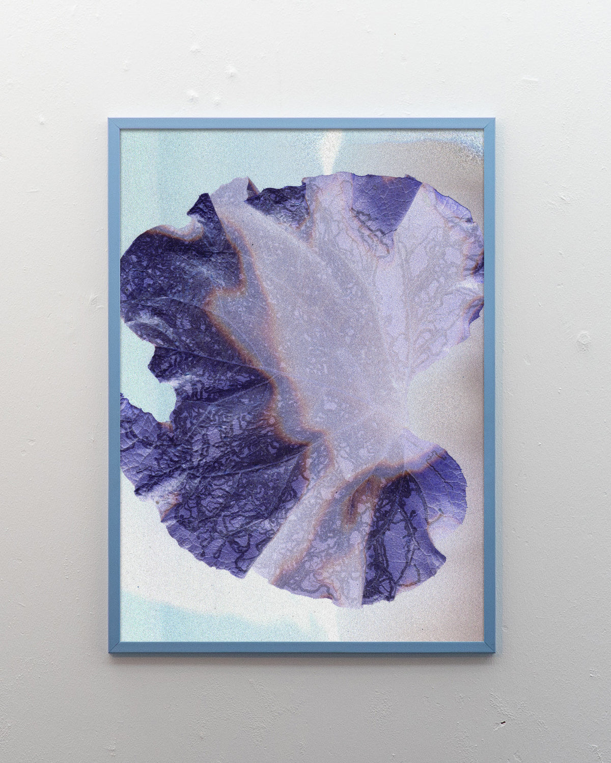 Leaf 01