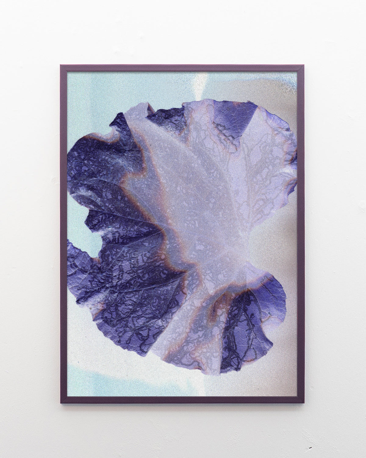 Leaf 01