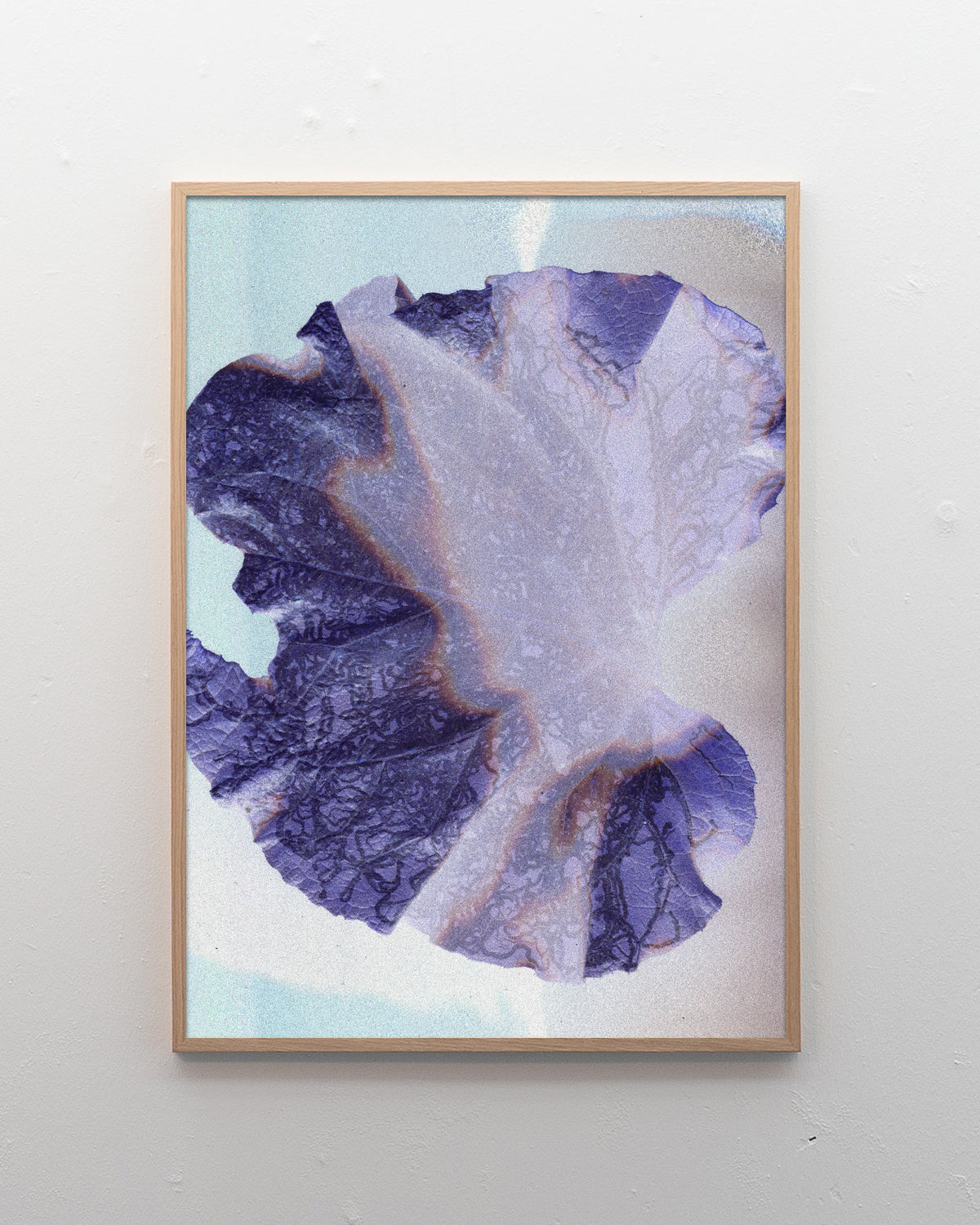 Leaf 01