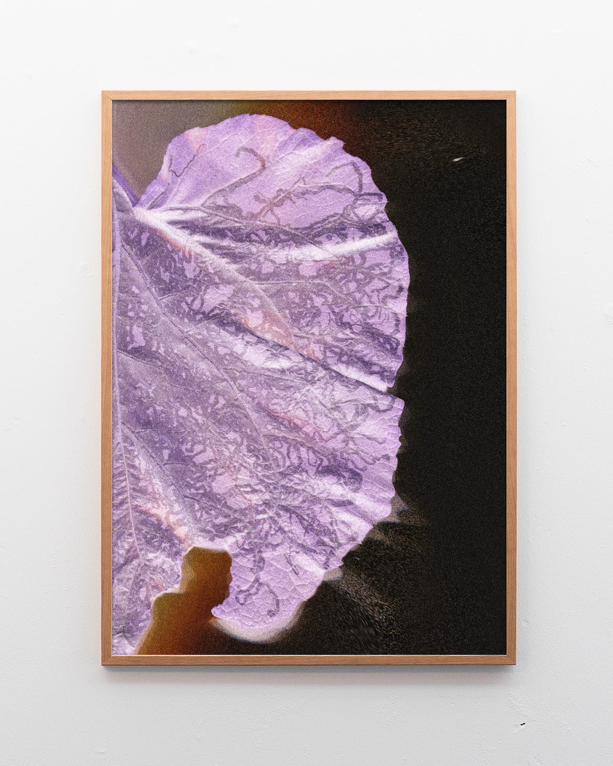 Leaf 02