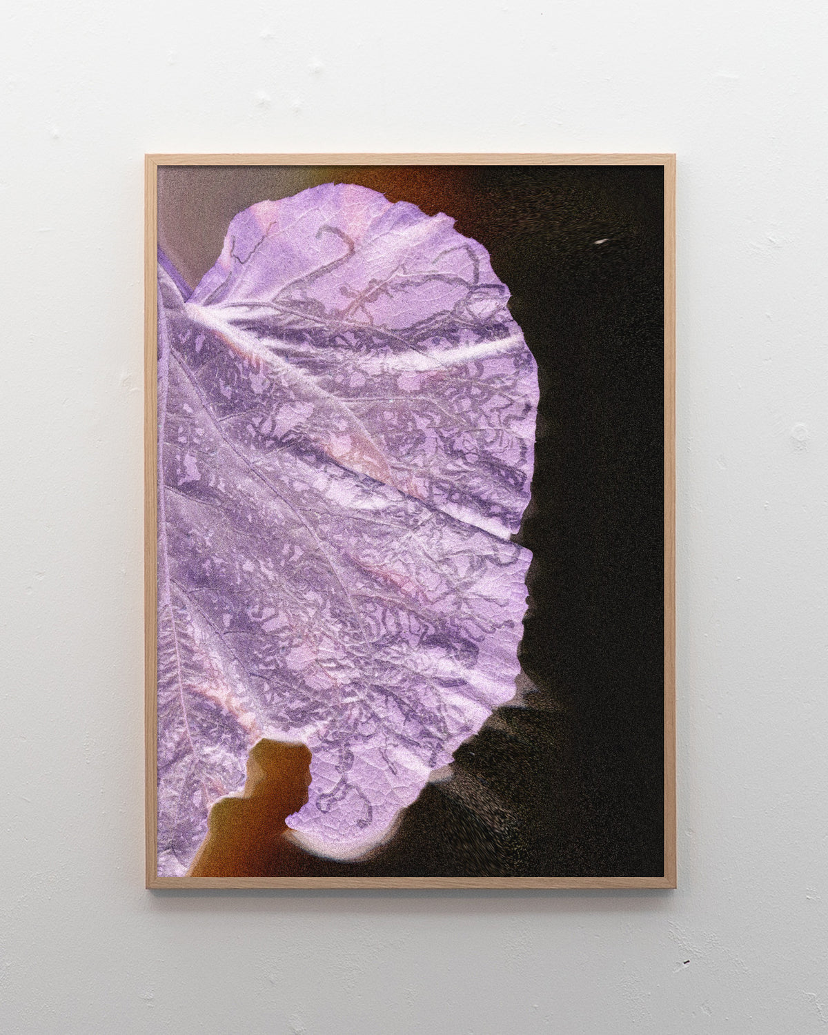 Leaf 02